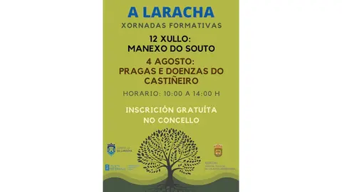 Xornadas Formativas Laracha Castineira