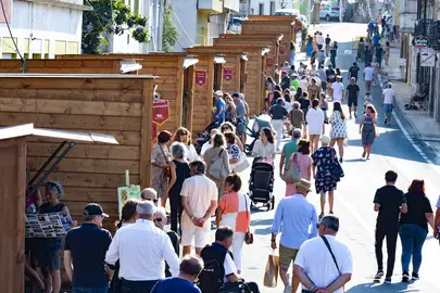 Mostra de Oleria de Buno 2022