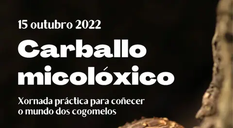 Carballo micoloxico 2022