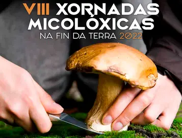 Micoloxicas Fisterra 2022