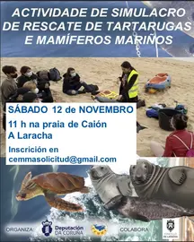 Actividade CEMMA Caion