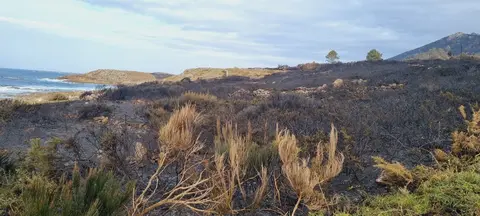 Incendio Larino-Carnota post