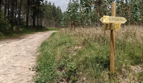 sinalizacion_ruta_das_fervedas (4)