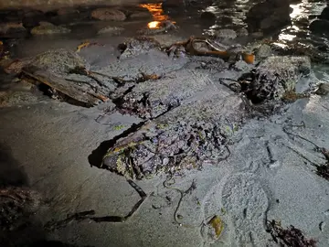 Pecio da Arnela-Corme 1