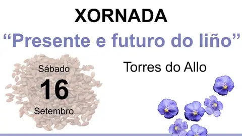 xornada-presente-futuro-lino Zas