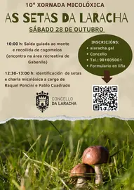 as setas da laracha 20213