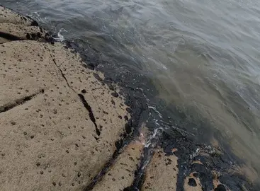 Chapapote dun sentinaso nas rochas do Pindo