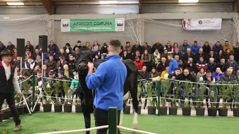 Poxa da Semana Gandeira Mazaricos 2023