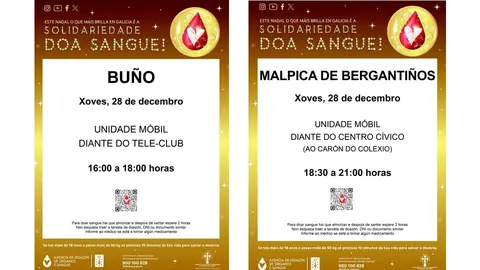 Doazon Sangue Malpica