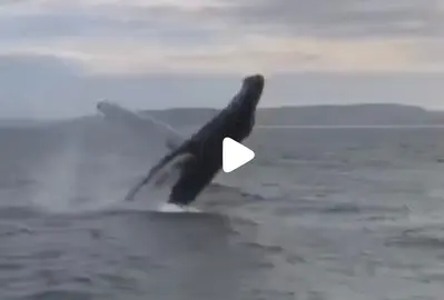 Balea Xibarte en Malpica Video