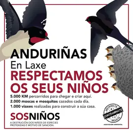 Sos Ninos de Andurinas