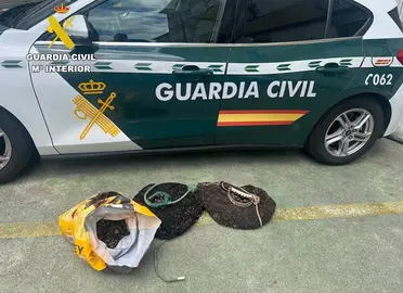 Incautacion furtivos percebe laxe