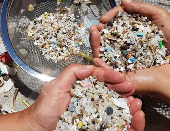 Pellets de plastico na Praia da Salseiras recollidos por Mar de Fabula en maio de 2024