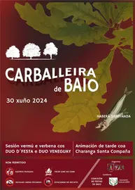 carballeira-baio-2024