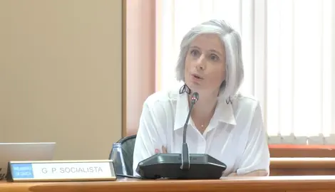 Patricia Iglesias PSOE na Comision do Parlamento
