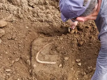 Castro das Barreiras-Fouce 2