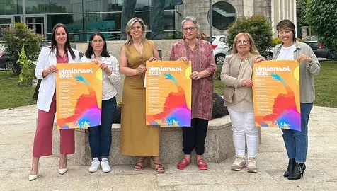 PRESENTACIÓN VIMIANSOL