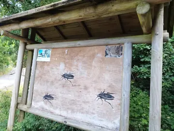 Cartel das caldeiras do castro