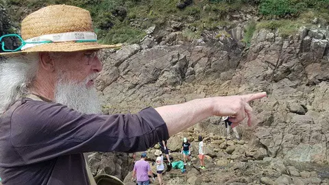 Limpando o coido de Merexo