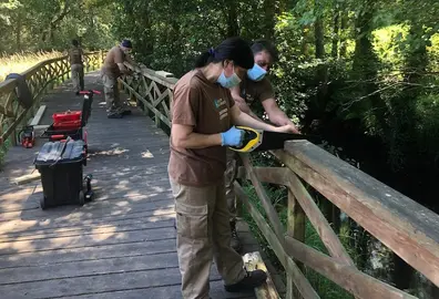 Obradoiro de Emprego en Gabenlle