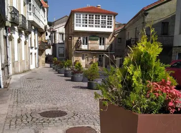 Peonizacion de Corcubion