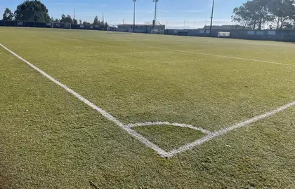 Cespede do campo de Pedra Queimada-Malpica 12