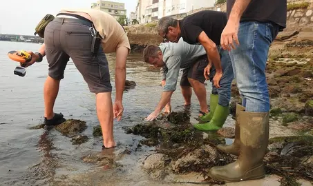 Arqueologos vendo o pecio de arnela en Corme