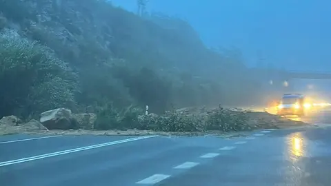 Arbores caidos na estrada por Muros