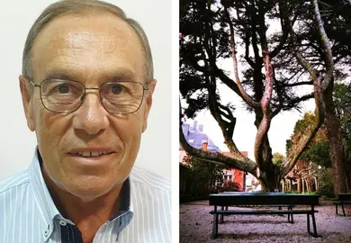 Manuel Canosa e a arbore centenario da Fundacion Fernando Blanco