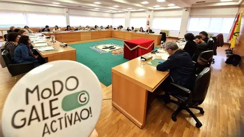 Carballo Alingua en galego