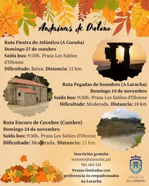 Andainas de Outono Laracha 2024