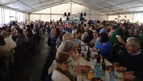 Feira das Fabas Ponteceso 2024