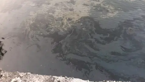 Vertido de fuel no porto de Corcubion