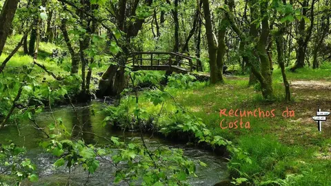 Recunchos da Costa-Pedra Vixia