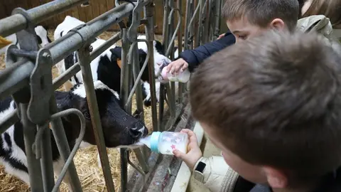 Semana Gandeira Mazaricos-Visita Granxa Xanceda