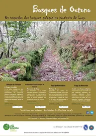 Via Inqueda Bosques de Lugo