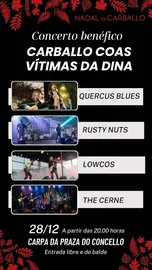 concerto_benefico Carballo DINA