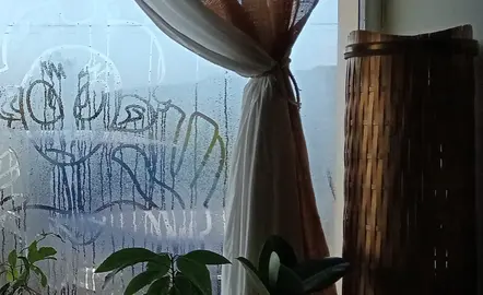 fiestra de inverno no Tinglado