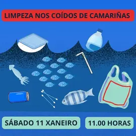 lmpeza coidos camarinas