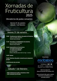 2025-Fruticultura EFA FOnteboa