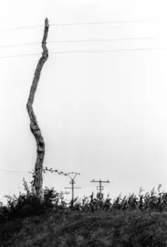3 generaciones potes de corriente electrica en primer plano el prehistorico