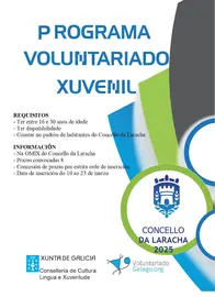 Voluntariado xuvenil