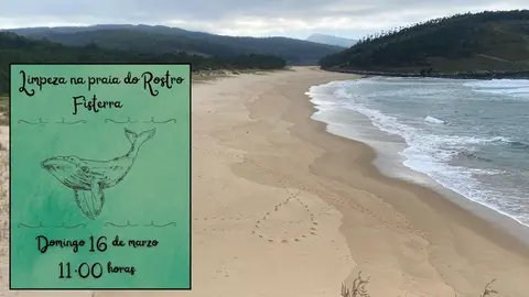 Limpeza na praia do Rostro con Mar de Fabula