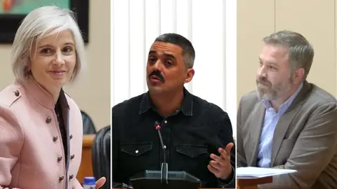 Os deputados carballeses Patricia Iglesias Daniel Perez e Ruben Lorenzo no Parlamento