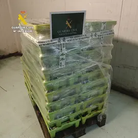 Sardina decomisada en Corcubion