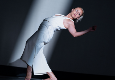 Paula QUintas Aurora Boreal Primavera endanza