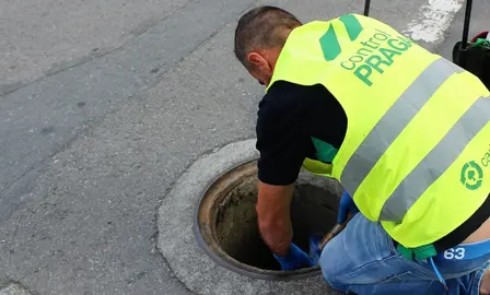 desratizacion pragas