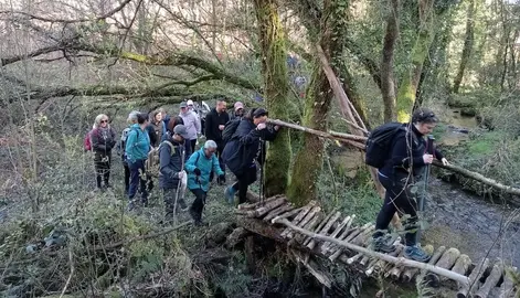 Ruta polo Bosque da Ribeira da Pena con Senda Nova