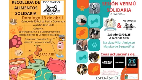 Malpica Felina accions