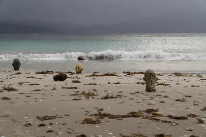 Corpos de Oscar Aldonza na praia Langosteira